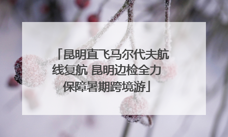 昆明直飞马尔代夫航线复航 昆明边检全力保障暑期跨境游