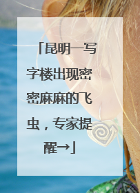 昆明一写字楼出现密密麻麻的飞虫，专家提醒→