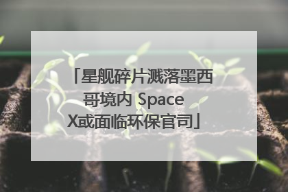 星舰碎片溅落墨西哥境内 SpaceX或面临环保官司