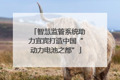 智慧监管系统助力宜宾打造中国“动力电池之都”