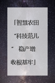 智慧农田“科技范儿” 稳产增收根基牢
