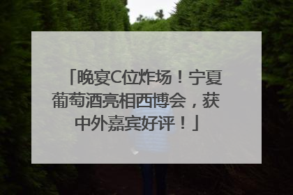 晚宴C位炸场！宁夏葡萄酒亮相西博会，获中外嘉宾好评！