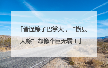 普通粽子巴掌大，“横县大粽”却像个巨无霸！