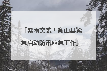 暴雨突袭！衡山县紧急启动防汛应急工作