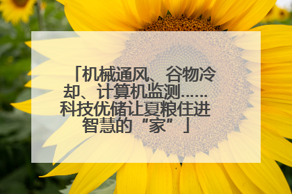机械通风、谷物冷却、计算机监测……科技优储让夏粮住进智慧的“家”