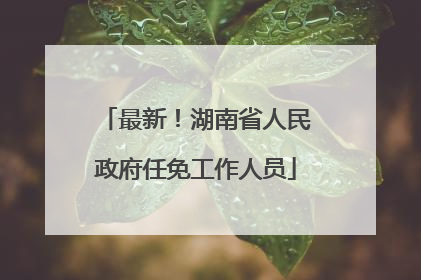 最新！湖南省人民政府任免工作人员