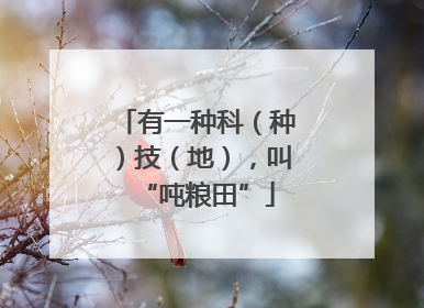 有一种科（种）技（地），叫“吨粮田”
