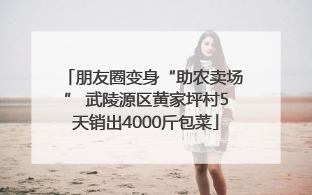 朋友圈变身“助农卖场” 武陵源区黄家坪村5天销出4000斤包菜