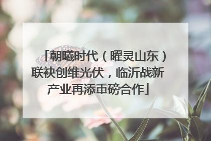 朝曦时代（曜灵山东）联袂创维光伏，临沂战新产业再添重磅合作