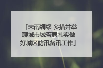 未雨绸缪 多措并举 聊城市城管局扎实做好城区防汛备汛工作