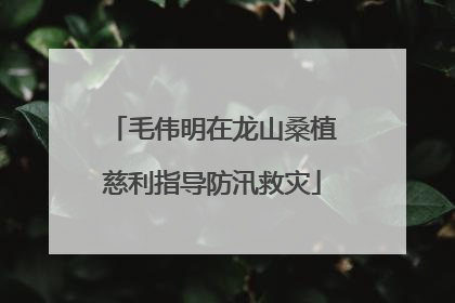 毛伟明在龙山桑植慈利指导防汛救灾