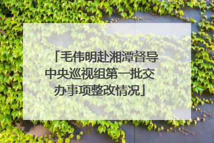 毛伟明赴湘潭督导中央巡视组第一批交办事项整改情况