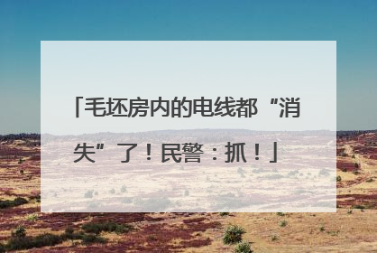 毛坯房内的电线都“消失”了！民警：抓！