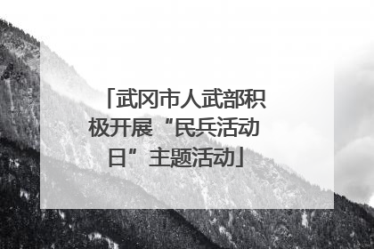 武冈市人武部积极开展“民兵活动日”主题活动