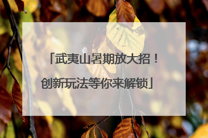 武夷山暑期放大招！创新玩法等你来解锁
