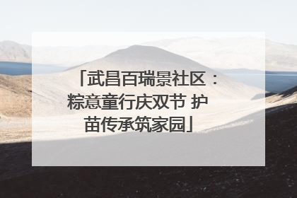 武昌百瑞景社区：粽意童行庆双节 护苗传承筑家园