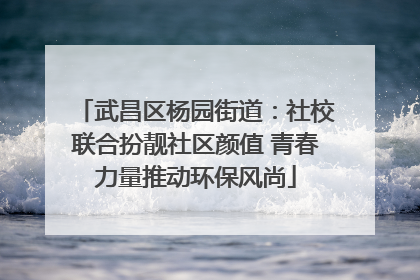 武昌区杨园街道：社校联合扮靓社区颜值 青春力量推动环保风尚