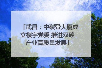 武昌：中碳登大厦成立楼宇党委 推进双碳产业高质量发展