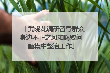 武晓花调研督导群众身边不正之风和腐败问题集中整治工作