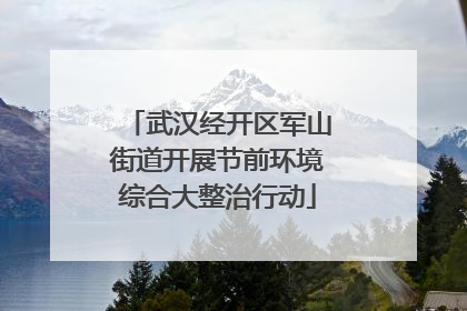 武汉经开区军山街道开展节前环境综合大整治行动