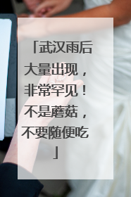 武汉雨后大量出现，非常罕见！不是蘑菇，不要随便吃