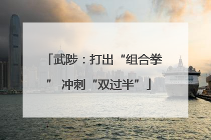 武陟：打出“组合拳” 冲刺“双过半”