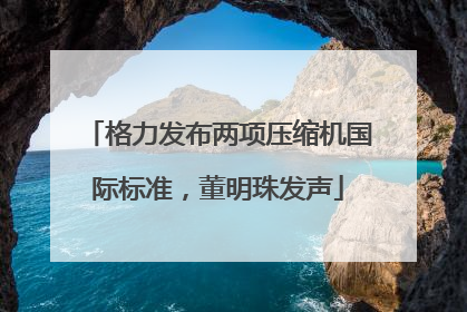 格力发布两项压缩机国际标准，董明珠发声