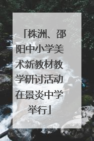 株洲、邵阳中小学美术新教材教学研讨活动在景炎中学举行