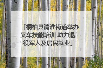 桐柏县清淮街道举办叉车技能培训 助力退役军人及居民就业