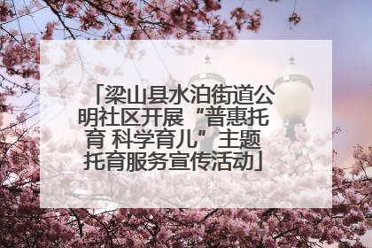 梁山县水泊街道公明社区开展“普惠托育 科学育儿”主题托育服务宣传活动