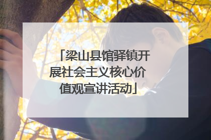 梁山县馆驿镇开展社会主义核心价值观宣讲活动