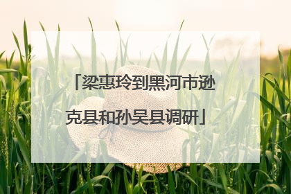 梁惠玲到黑河市逊克县和孙吴县调研