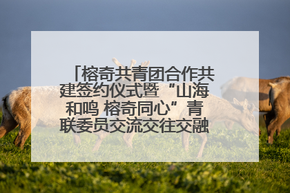 榕奇共青团合作共建签约仪式暨“山海和鸣 榕奇同心”青联委员交流交往交融活动在福州举行