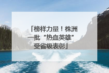 榜样力量！株洲一批“热血英雄”受省级表彰
