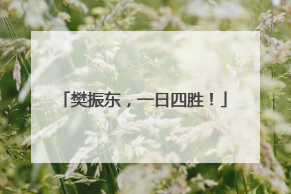 樊振东，一日四胜！