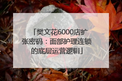 樊文花6000店扩张密码：面部护理连锁的底层运营逻辑