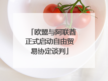 欧盟与阿联酋正式启动自由贸易协定谈判