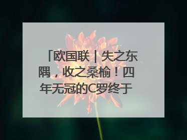 欧国联｜失之东隅，收之桑榆！四年无冠的C罗终于再次举起奖杯