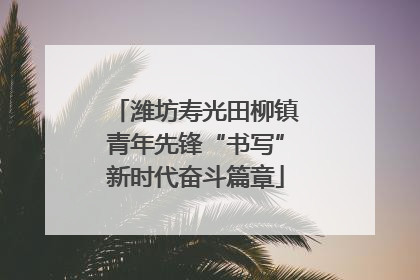 潍坊寿光田柳镇青年先锋“书写”新时代奋斗篇章