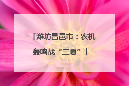 潍坊昌邑市：农机轰鸣战“三夏”