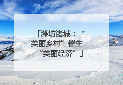 潍坊诸城：“美丽乡村”催生“美丽经济”