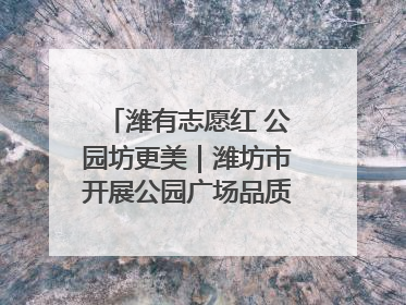 潍有志愿红 公园坊更美｜潍坊市开展公园广场品质提升行动