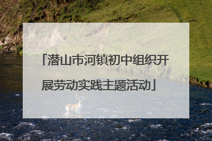 潜山市河镇初中组织开展劳动实践主题活动