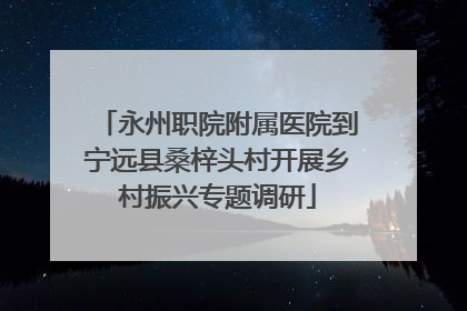 永州职院附属医院到宁远县桑梓头村开展乡村振兴专题调研