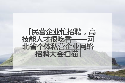 民营企业忙招聘，高技能人才很吃香——河北省个体私营企业网络招聘大会扫描
