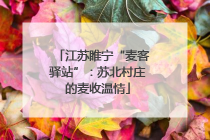 江苏睢宁“麦客驿站”：苏北村庄的麦收温情