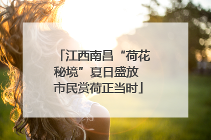 江西南昌“荷花秘境”夏日盛放 市民赏荷正当时