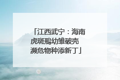 江西武宁：海南虎斑鳽幼雏破壳 濒危物种添新丁
