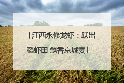 江西永修龙虾：跃出稻虾田 飘香京城宴