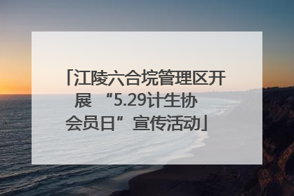 江陵六合垸管理区开展 “5.29计生协会员日”宣传活动